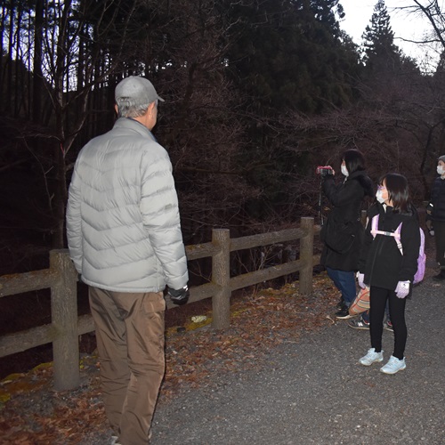 いきもの観察をしている写真