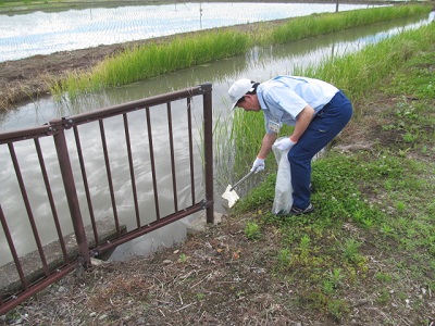 水路脇のゴミ拾い