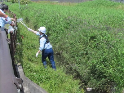 水路脇のゴミ拾い