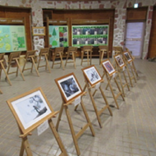 県民の森写真募集の写真