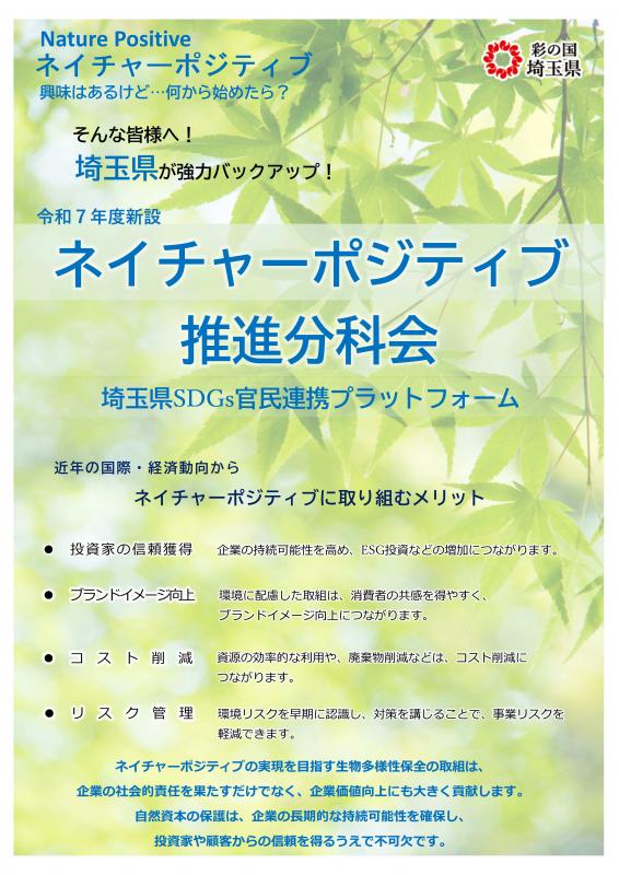 チラシオモテ