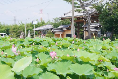 上里町福昌寺1
