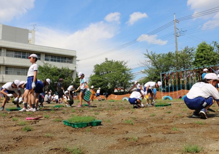 本庄市立北泉小学校2