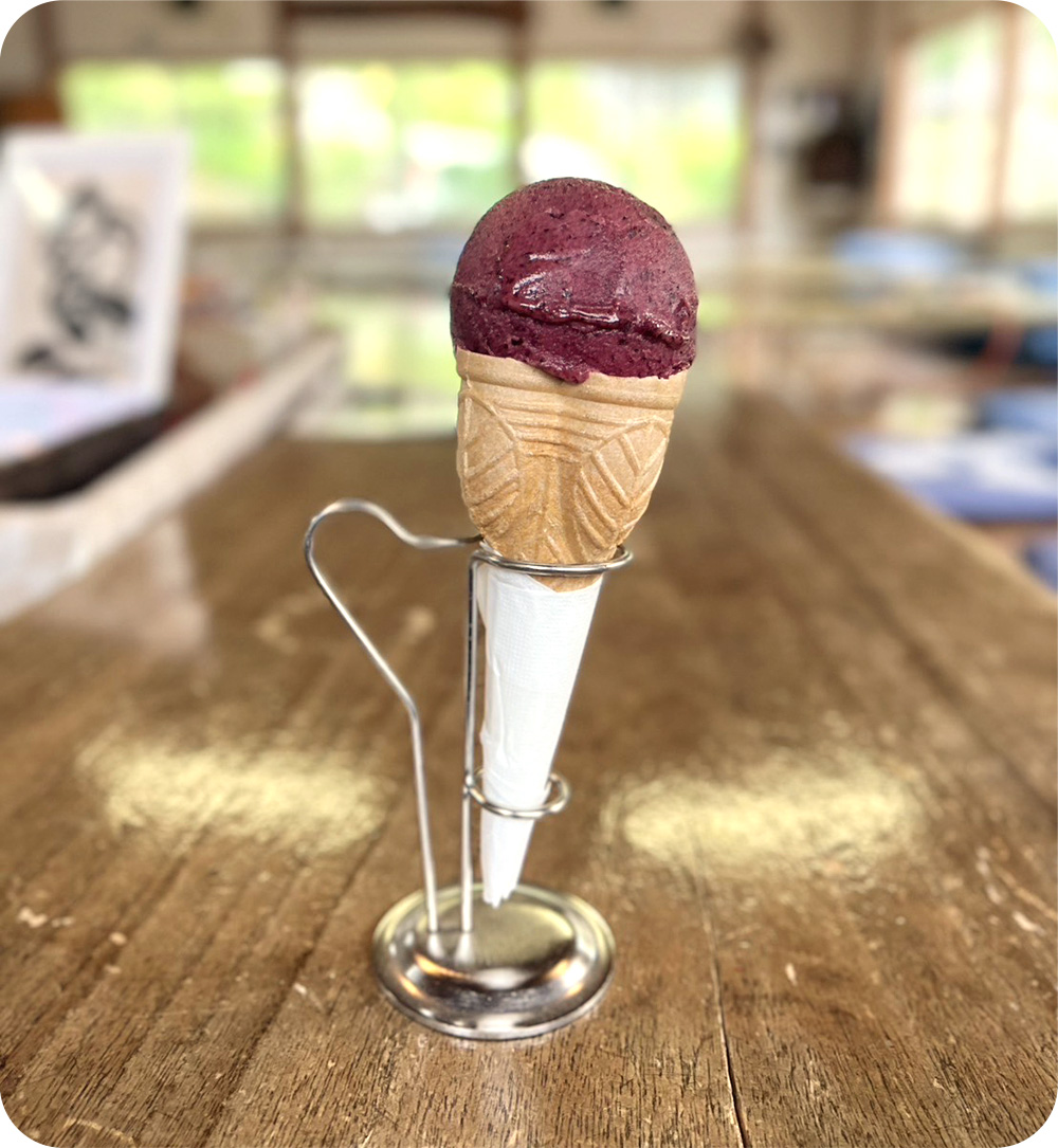 まるごとブルーベリーの写真（コーン）