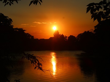 夕日