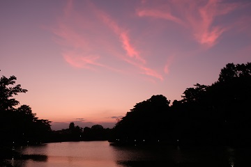 茜雲