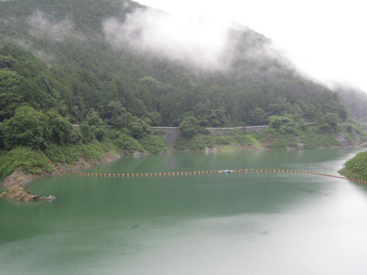8月12日ダム貯水状況3