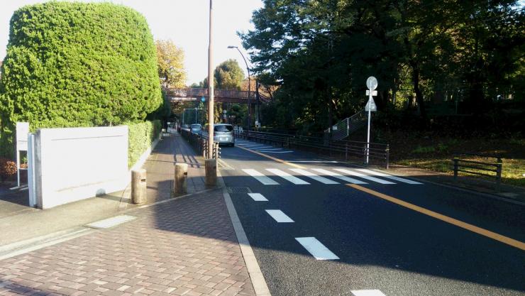 西園と東園を結ぶ横断歩道