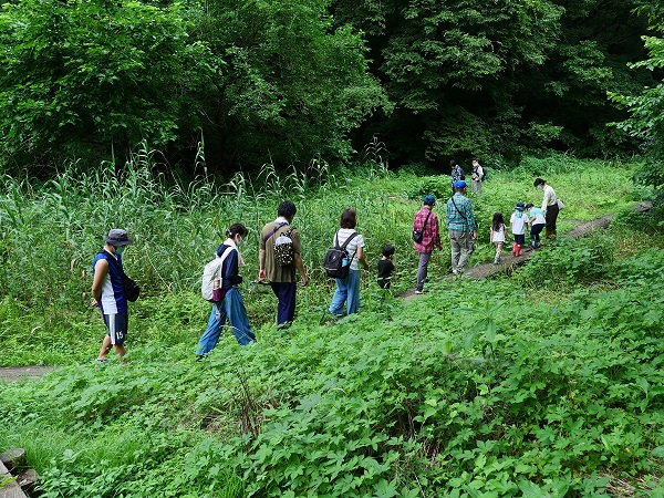 ふるさと北本ウィーク「里山自然かんさつ会」