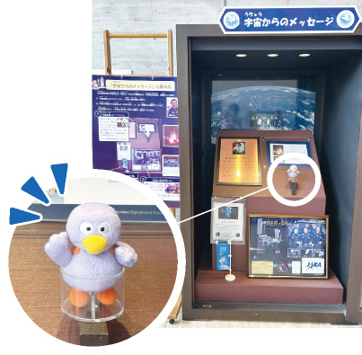 県環境科学国際センター 展示館「彩かんかん」の宇宙に関する展示物の写真