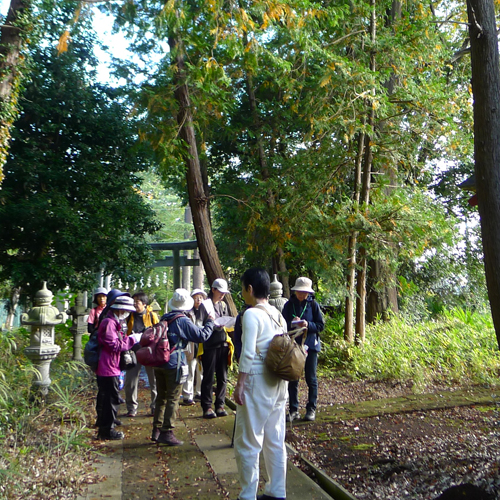 レクチャーを受けながら園内を歩く様子の写真