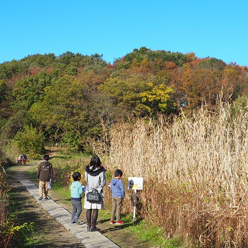 園内を探索する様子の写真