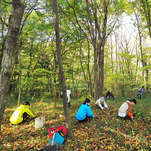 里山の管理作業をする様子の写真