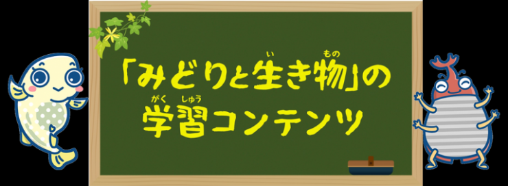 midoritoikimono