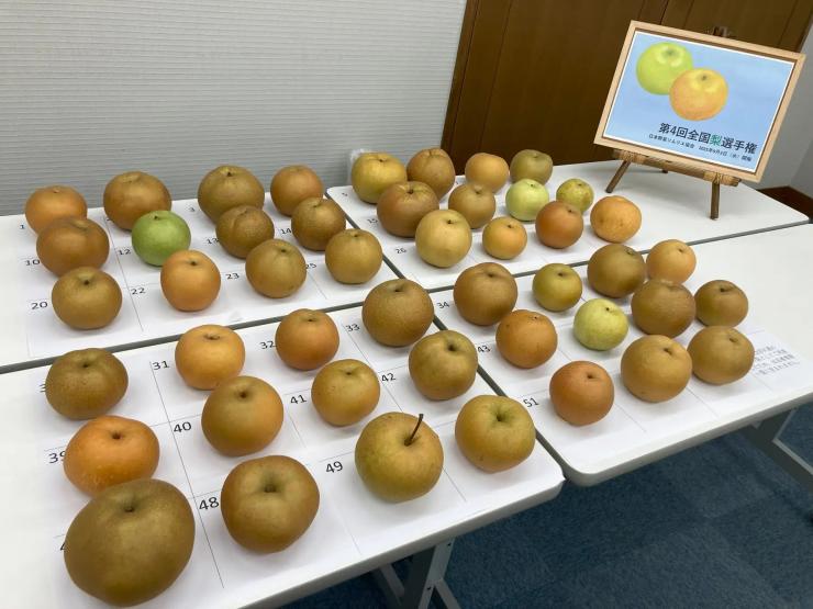 選手権概要