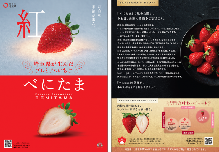 べにたま（チラシ）