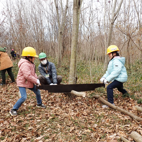 木をノコギリで切る様子の写真