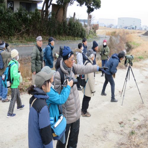 黒浜沼冬の野鳥観察会