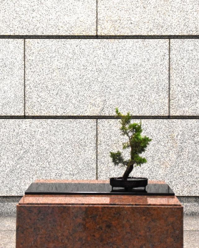 生け花の写真