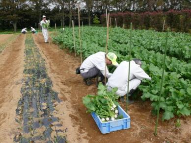 仕事をしている様子