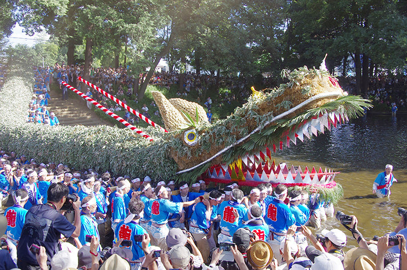龍蛇が練り歩く様子