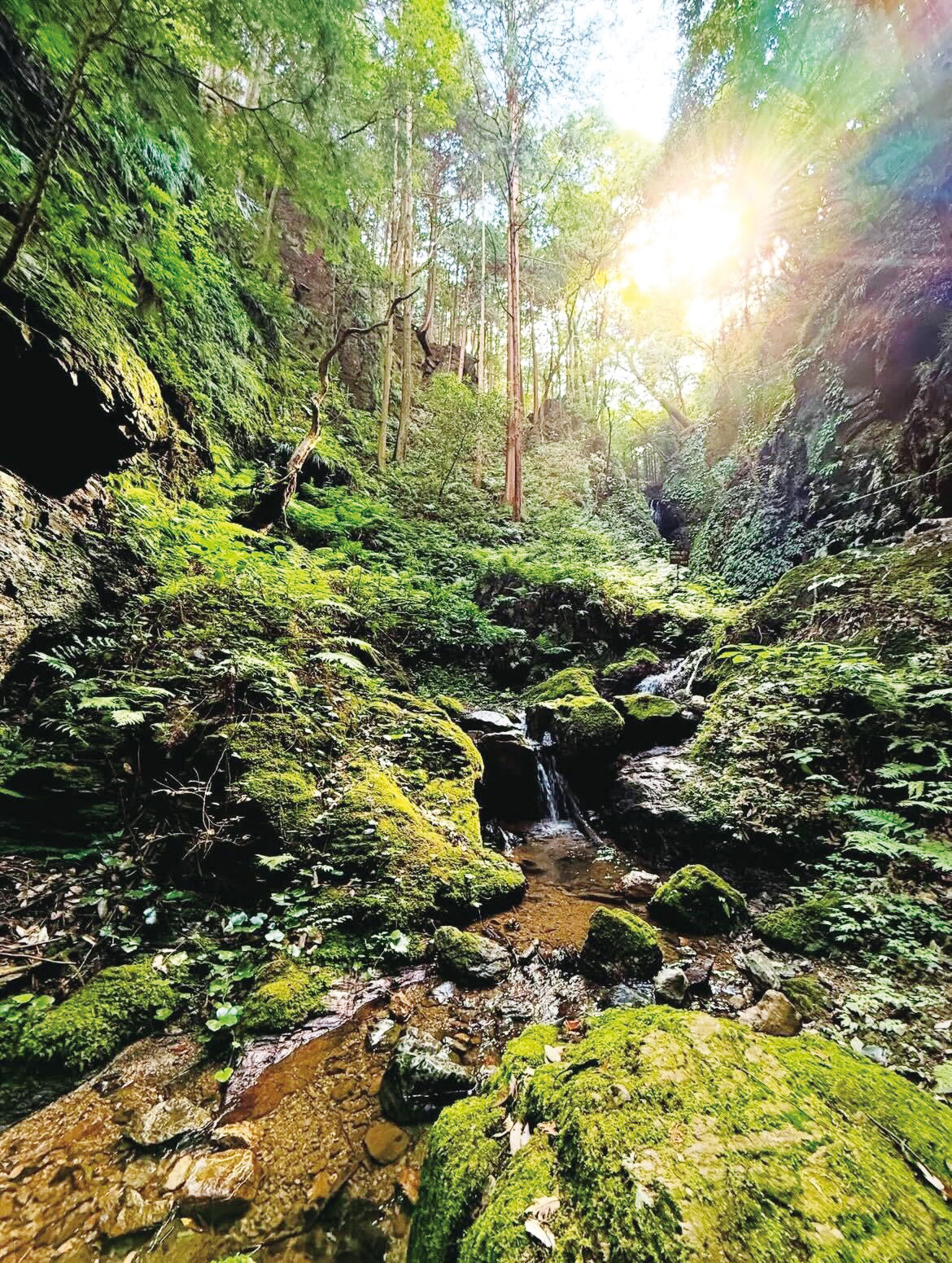 優秀賞受賞写真