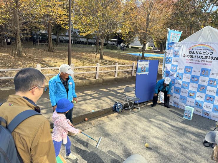 マレットゴルフ