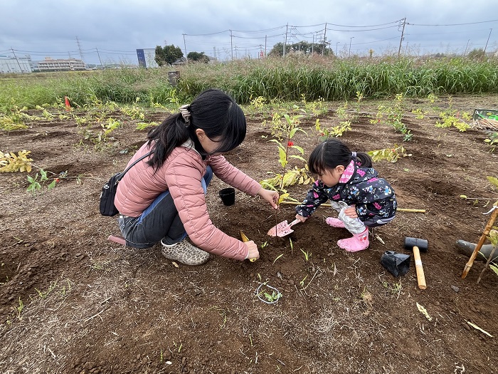 植樹体験