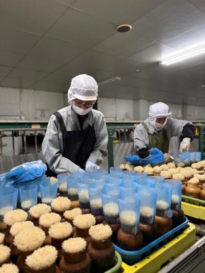 仕事をしている様子