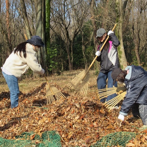 落ち葉掃きの画像