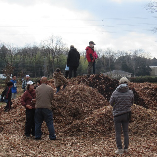 落ち葉集積の画像