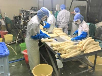 仕事をしている様子