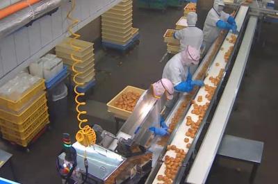 仕事をしている様子