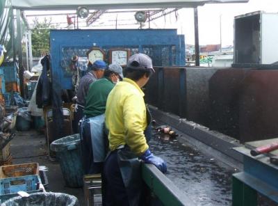 仕事をしている様子