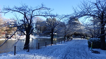 初雪の園内