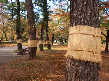 時計塔広場近く