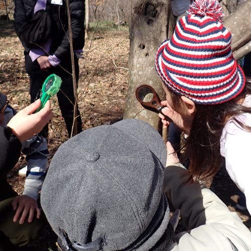 春の生きものをルーペを使って観察する様子の写真