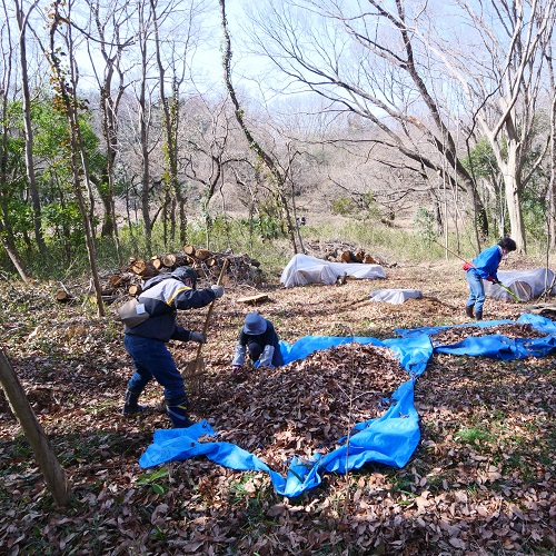 里山の管理作業をする様子の写真