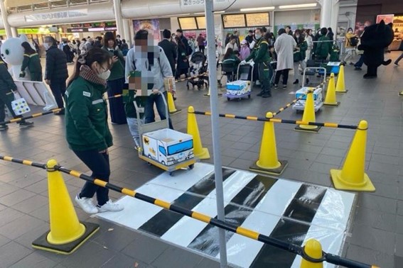 workexperience_lightdata