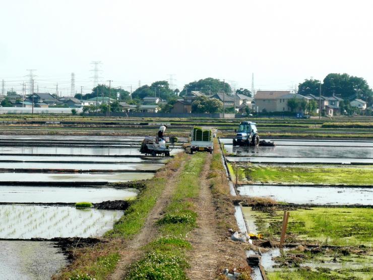 ほ場整備事業実施前の様子