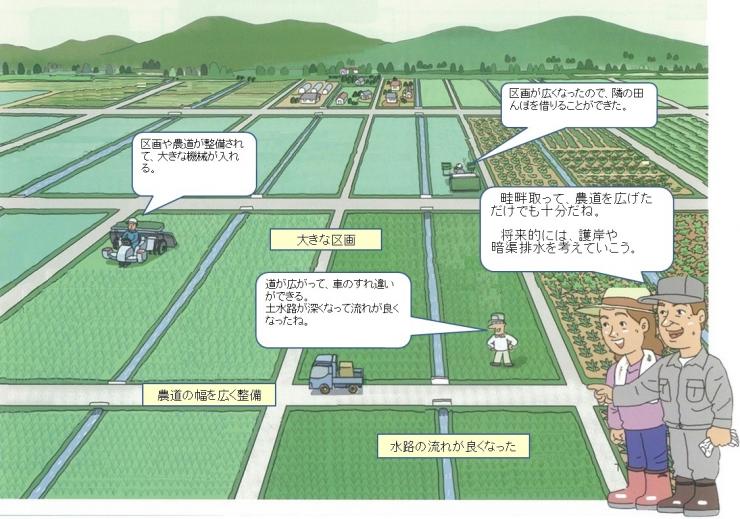 ほ場整備事業実施後の様子
