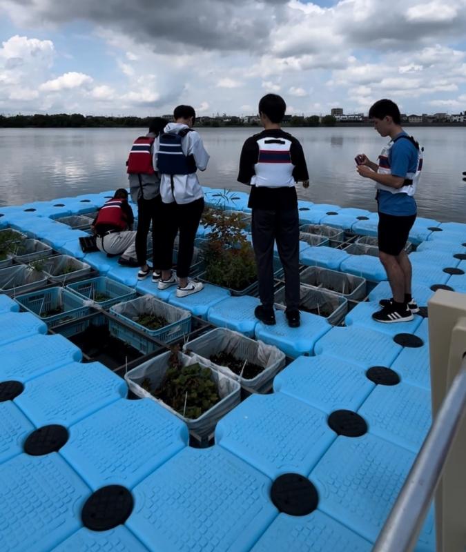 浮く畑を活用した水耕栽培