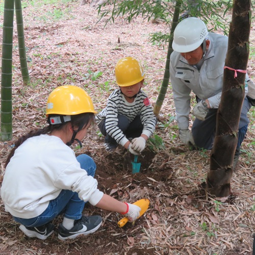 タケノコ堀の画像