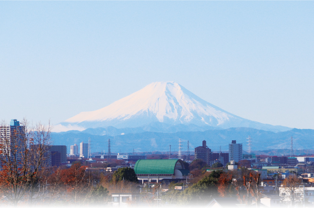 びん沼周辺からの富士山の写真