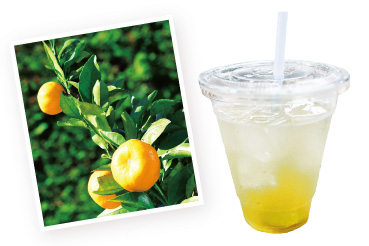 福みかんと狭山茶を使った福みかんドリンクの写真