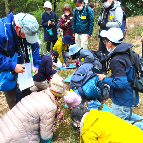 園内に自生するコケを観察する様子の写真
