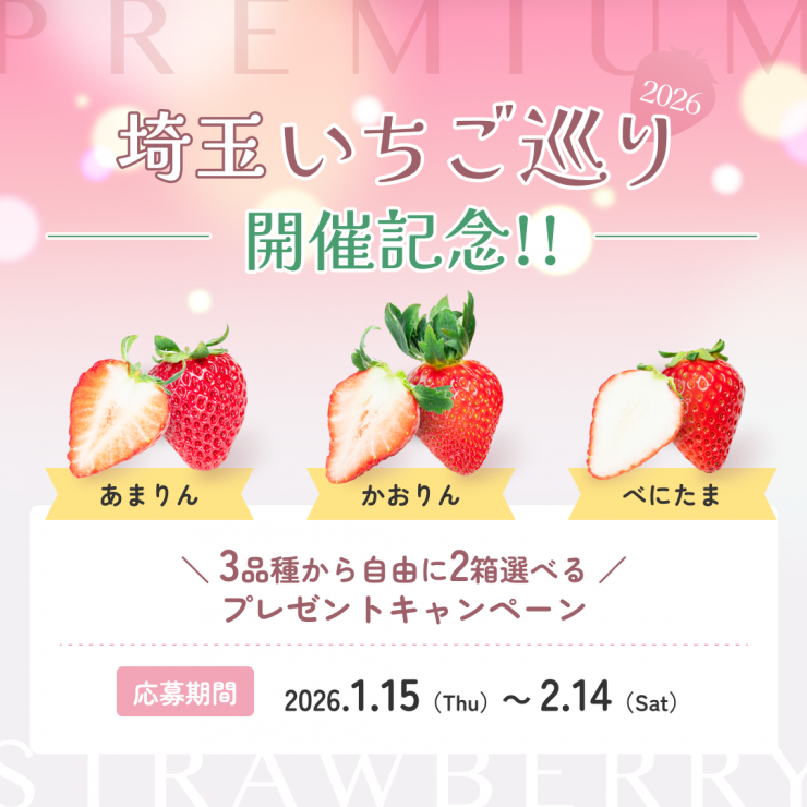 サムネイル_0115