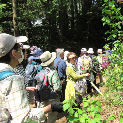 講師からレクチャーを受けながら園内を散策する様子の写真