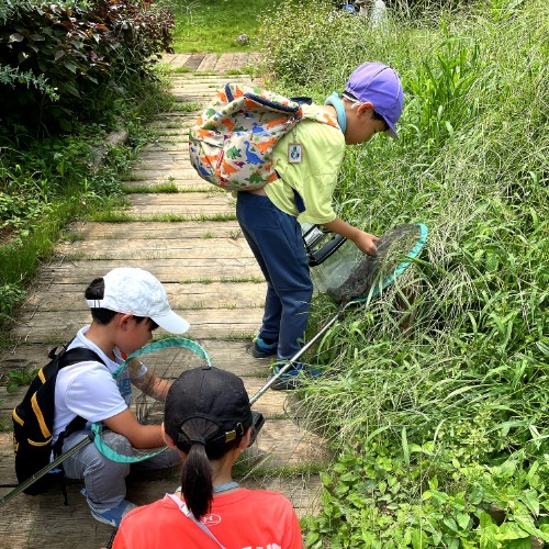 園内で生き物を探すこどもたちの写真