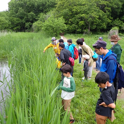 スタッフからレクチャーを受けながら園内を観察する様子の写真